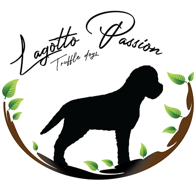 Lagotto Passion